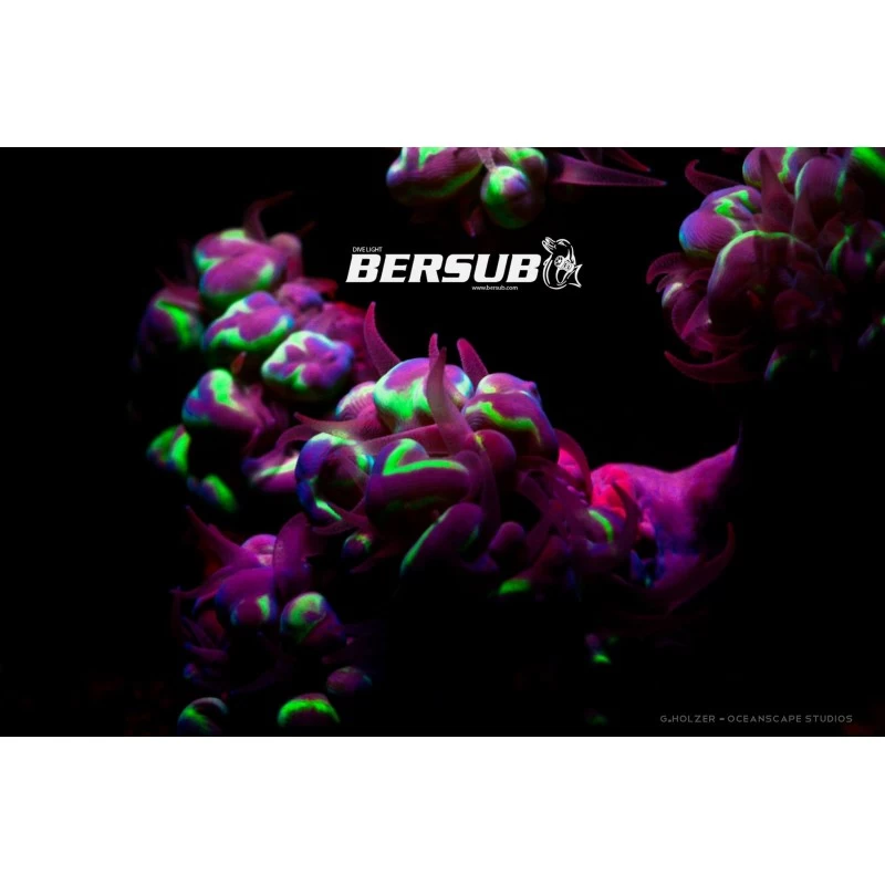 FLUORDIVE Filtre Jaune Pour Masque - Big Blue 2 FLUORDIVE Filtre Jaune Pour Masque - Big Blue – Image 2